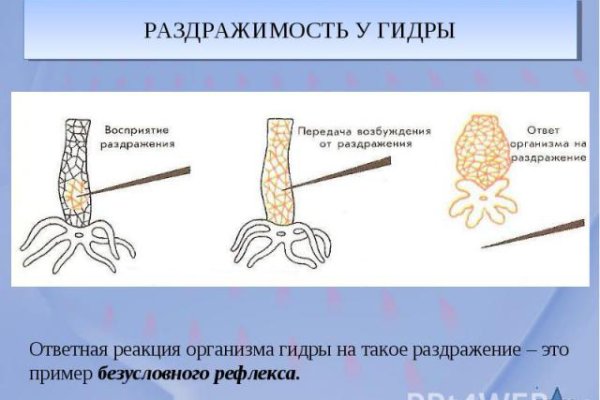 Как восстановить аккаунт на кракене