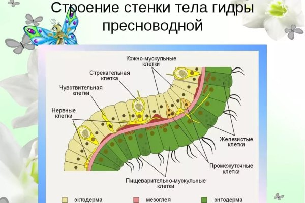 Кракен адрес даркнет