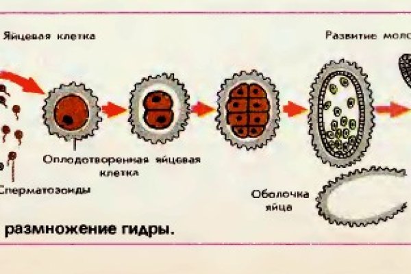 Список сайтов даркнета