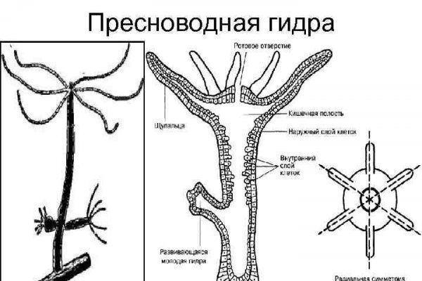 Почему сегодня не работает площадка кракен