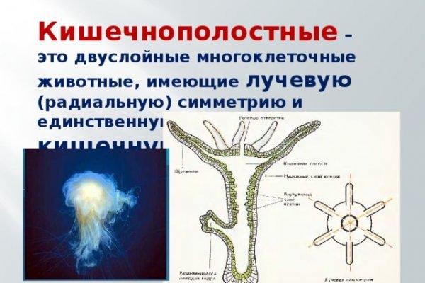 Kraken ссылка зеркало рабочее