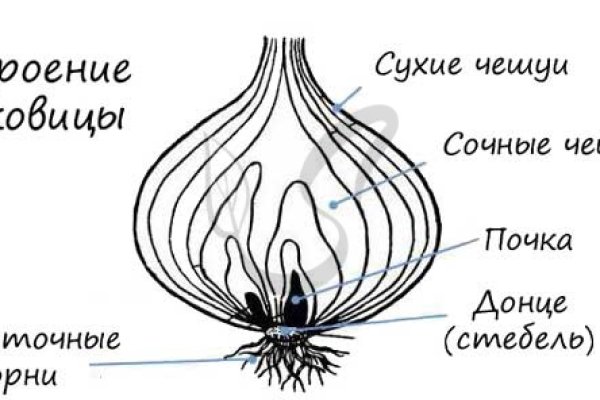 Кракен даркнет что известно